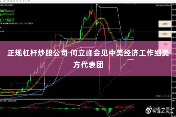 正规杠杆炒股公司 何立峰会见中美经济工作组美方代表团