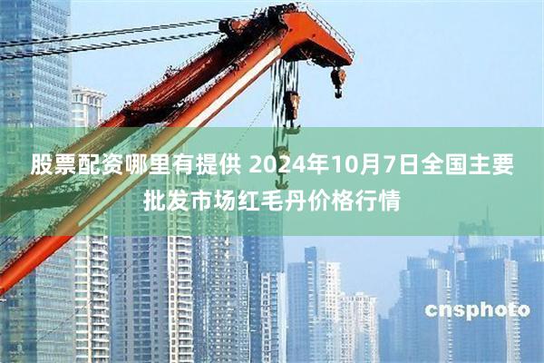 股票配资哪里有提供 2024年10月7日全国主要批发市场红毛丹价格行情