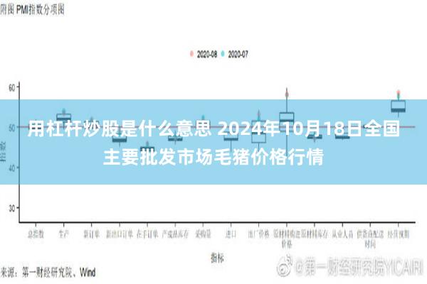 用杠杆炒股是什么意思 2024年10月18日全国主要批发市场毛猪价格行情