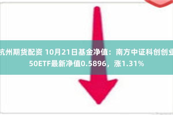 杭州期货配资 10月21日基金净值：南方中证科创创业50ETF最新净值0.5896，涨1.31%