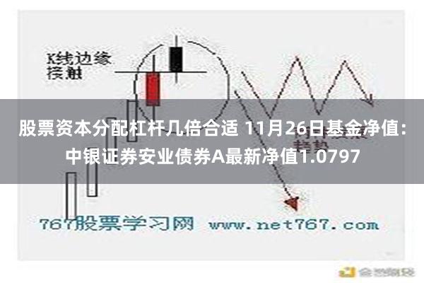 股票资本分配杠杆几倍合适 11月26日基金净值：中银证券安业债券A最新净值1.0797