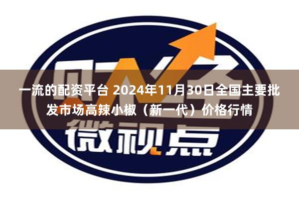 一流的配资平台 2024年11月30日全国主要批发市场高辣小椒（新一代）价格行情