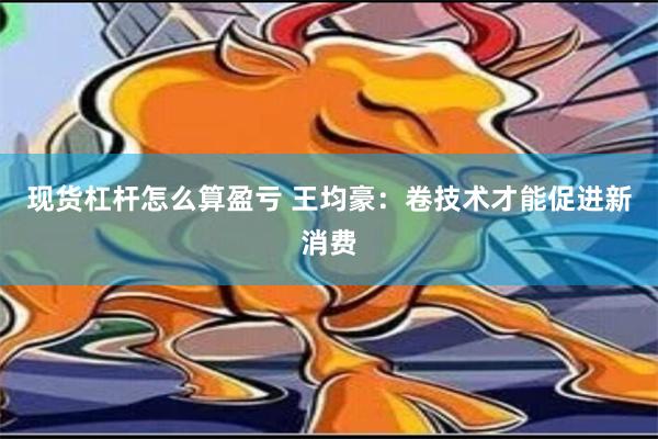 现货杠杆怎么算盈亏 王均豪：卷技术才能促进新消费