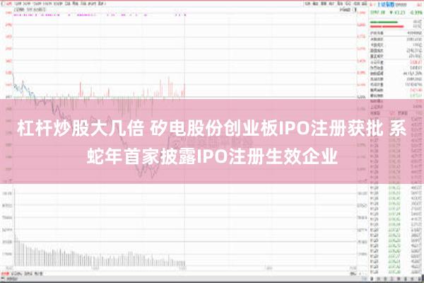 杠杆炒股大几倍 矽电股份创业板IPO注册获批 系蛇年首家披露IPO注册生效企业